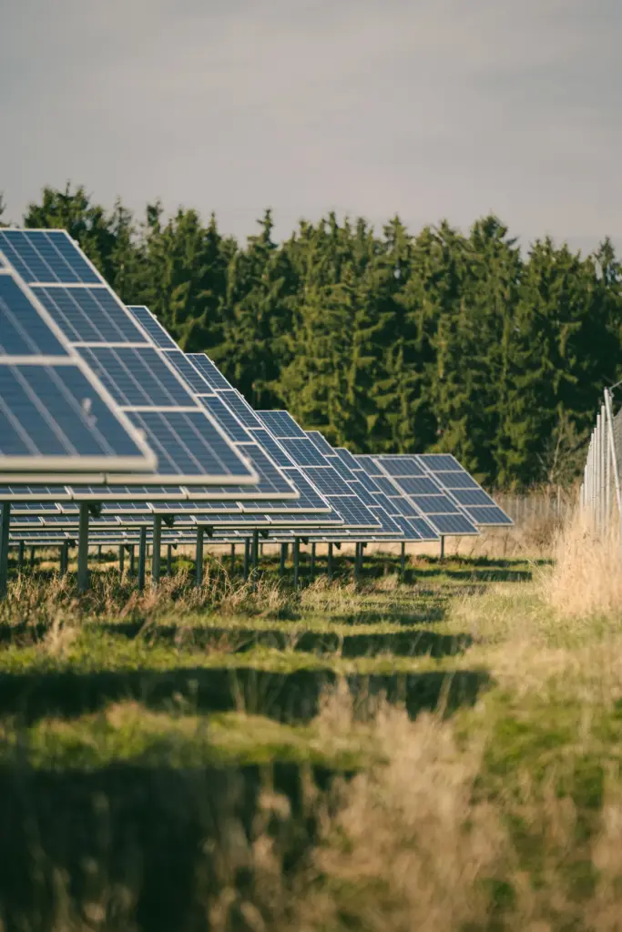 Solarpark am Waldrand im Hochformat